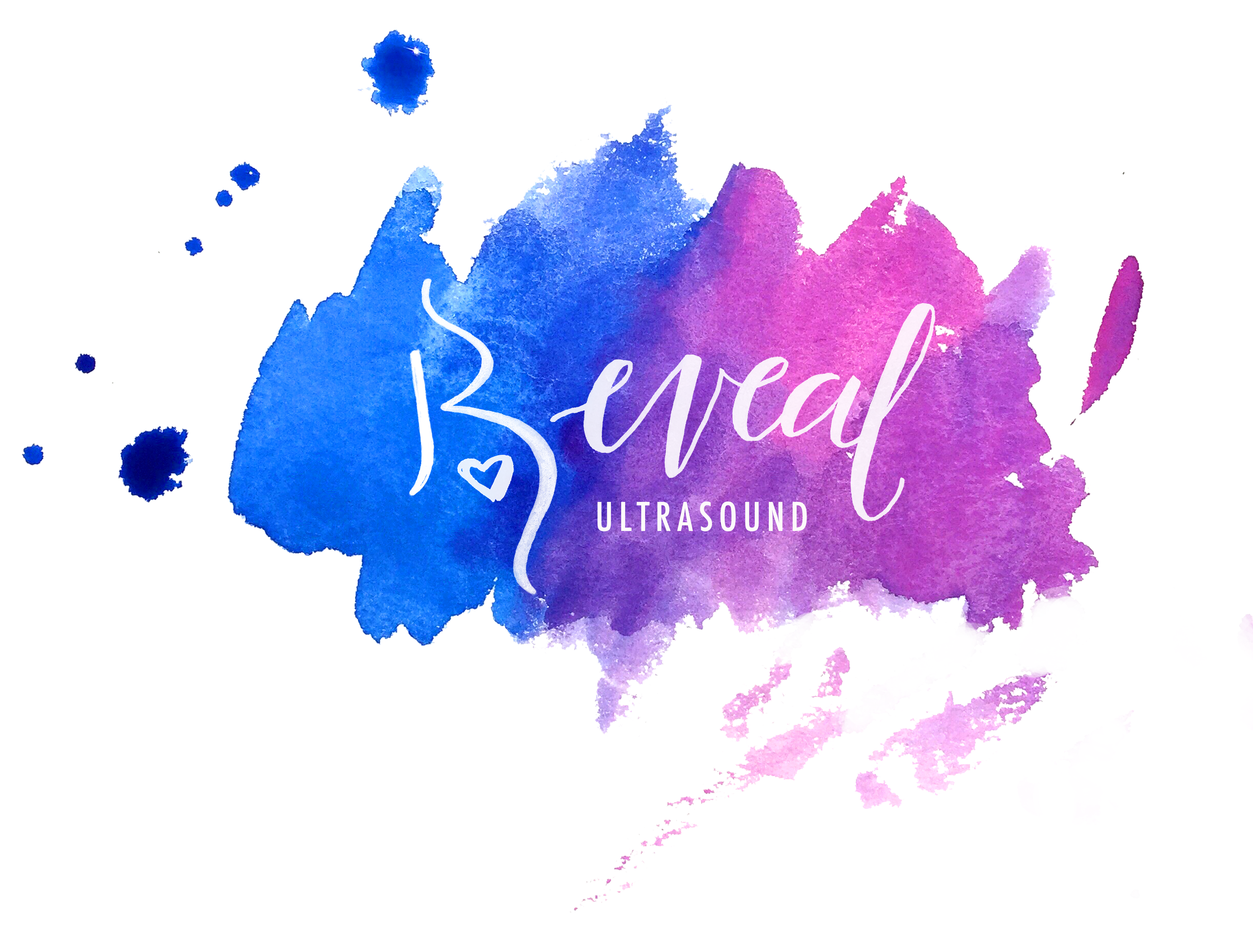 Reveal Ultrasound — session in progress